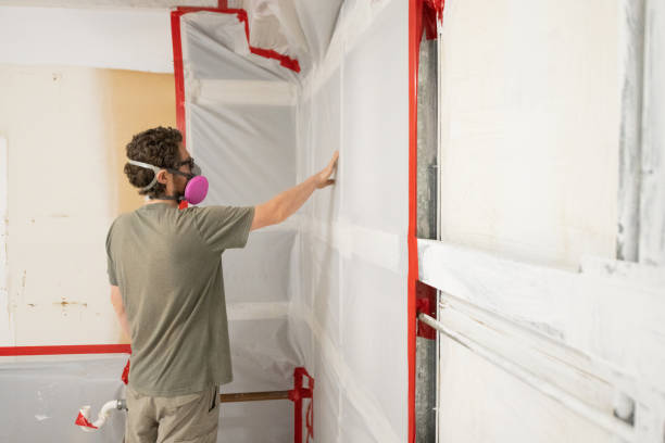 Best Mold Damage Restoration  in Cypress Gardens, FL